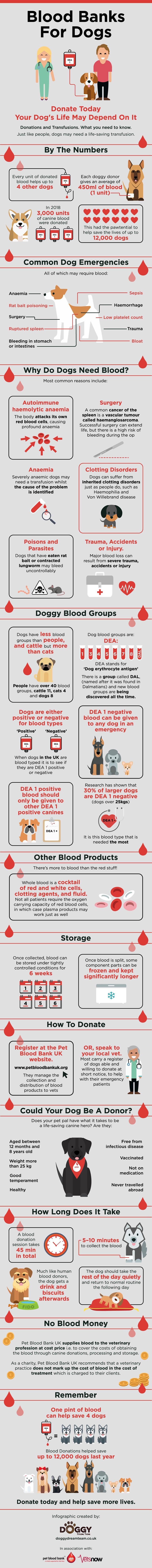 Dogs Blood Banks